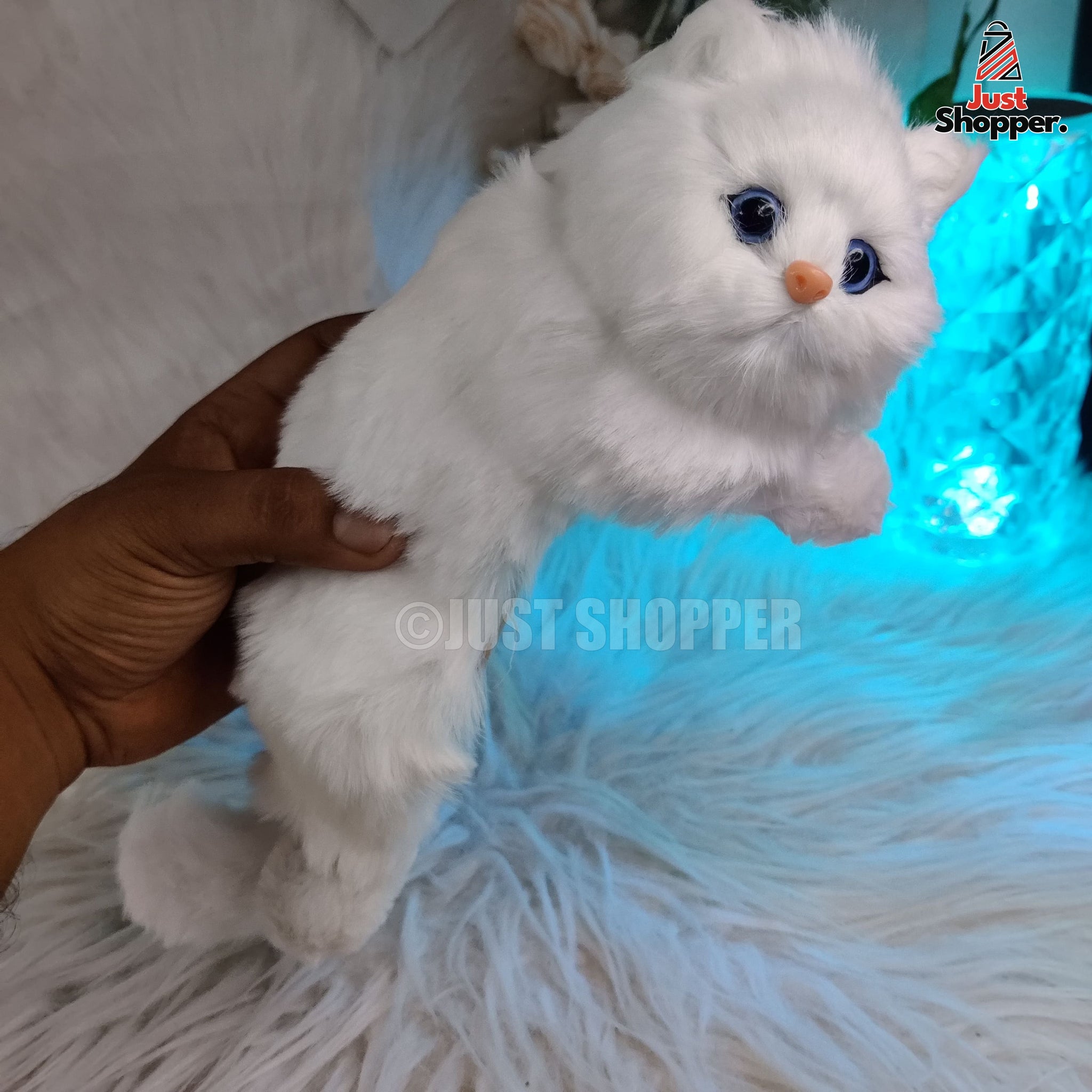 Kitty – Just Shopper